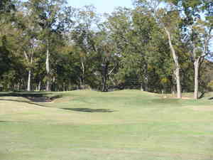 img 4862