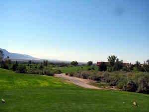img 4885