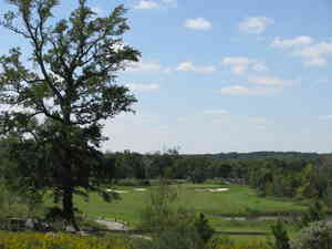 img 8880