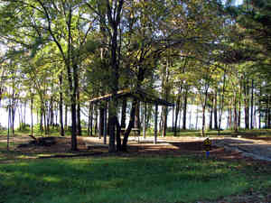img 8930