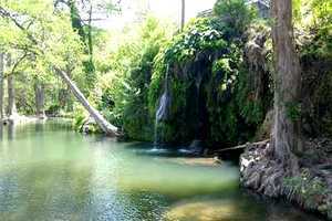 krause spring