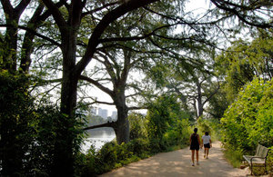 ladybirdlaketrail44