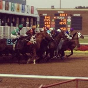 lone star park