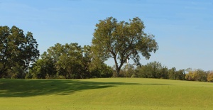Max Starcke Park Golf Course Texas Outside Max Starcke Park Golf Course Texas Outside