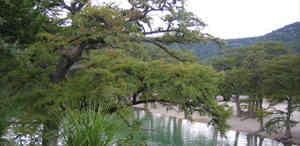 parkviewriverside6