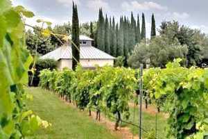 stone house vineyard