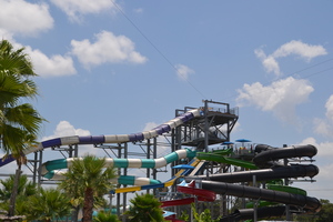 DSC 1124