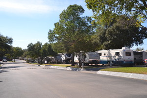 DSC 1260