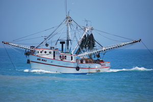 July 2009 261