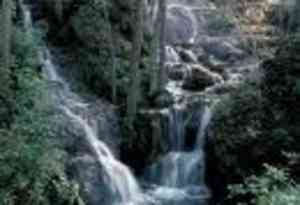 gormanfalls