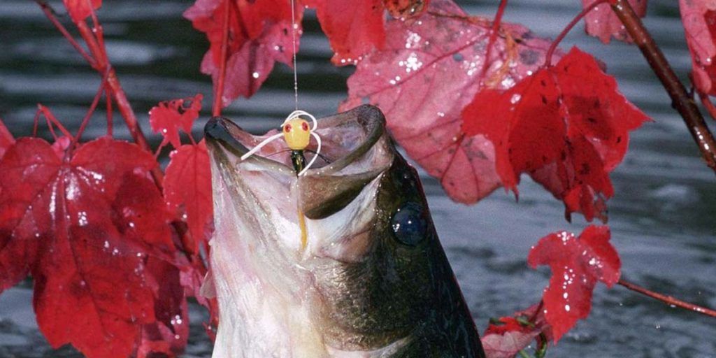  fishing trip in texas