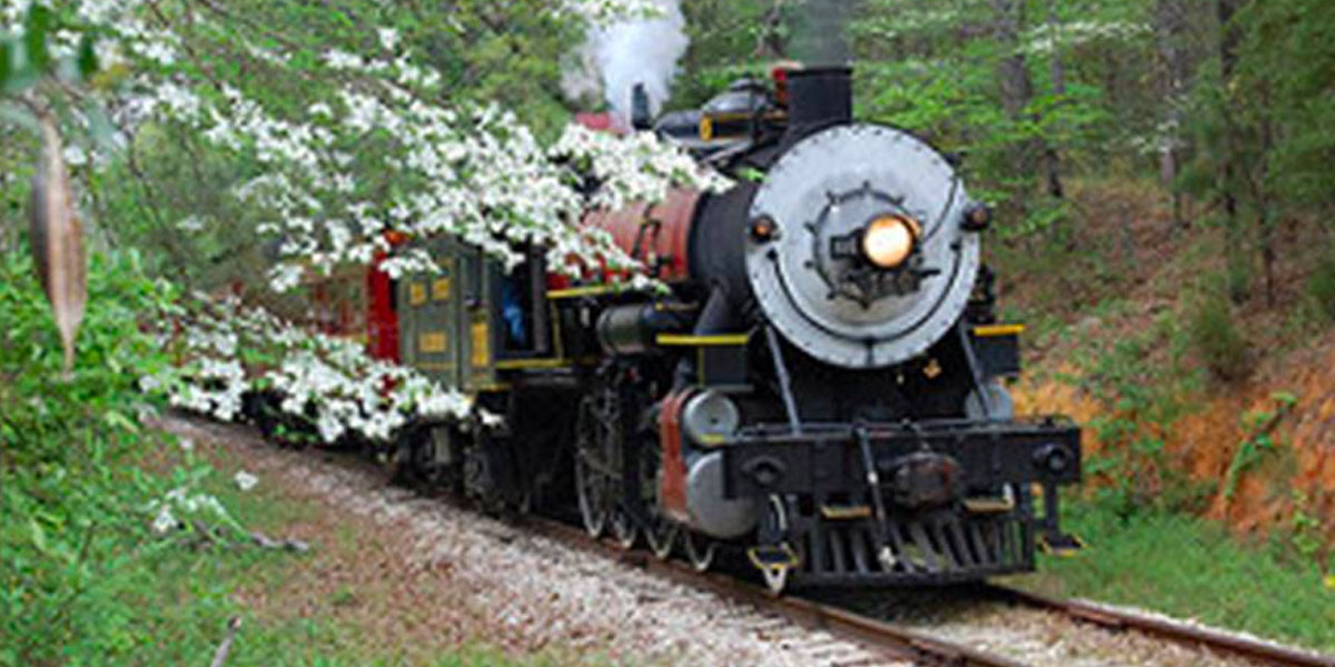 A Scenic 50 Mile Train Ride In Texas | Texas Outside
