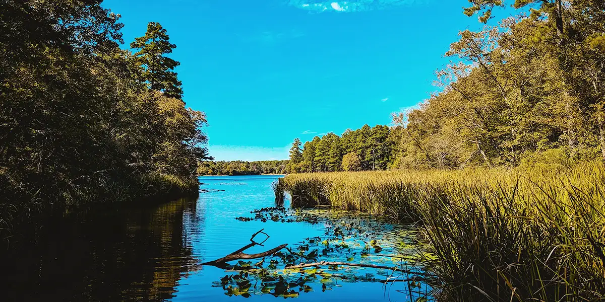 lake-tyler-lake-tyler-east-texas-outside