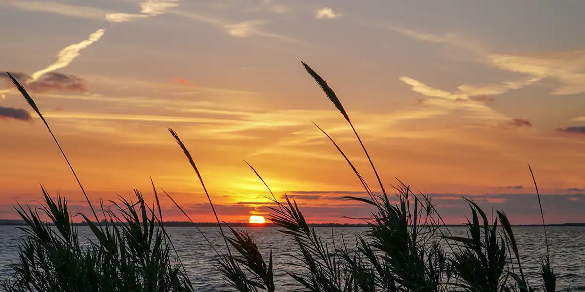 Powderhorn Ranch State Park Texas Outside