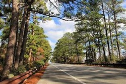 Lost Pines
