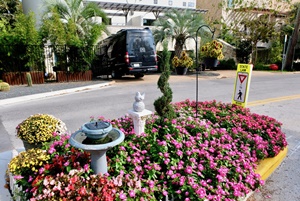 Bepi Park