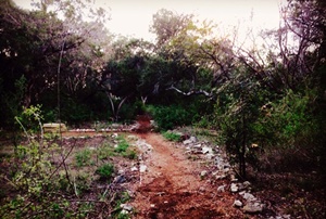 Convict Hill