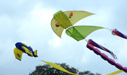 kites
