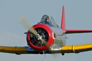 Texan Warbird