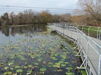 Aquarena Wetlands Walkway