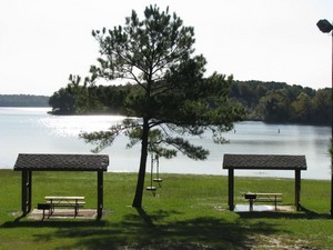 Martin Creek