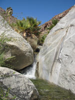 Palm Canyon Hike