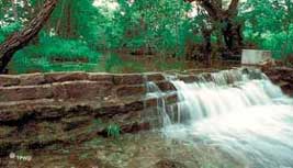 Creek at Lockhart State Park