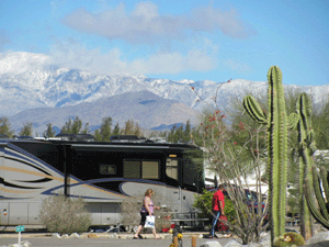 The Springs At Borrego RV Resort