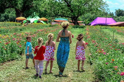 Barton Hill Farms