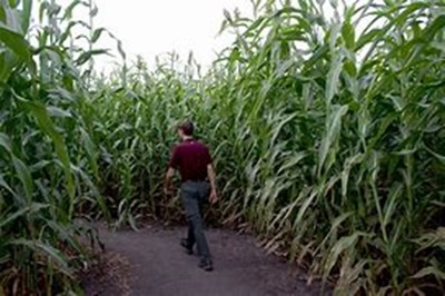 Rockin' K Maze