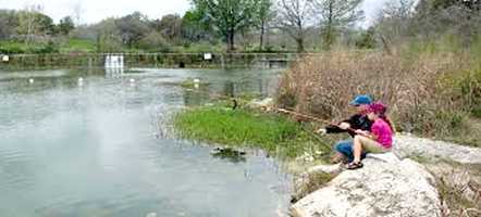 Blanco River Fishing