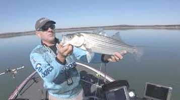 Fishing on Canyon Lake