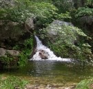 Smith Spring Trail