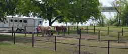 Corrals at Holiday Park Campground