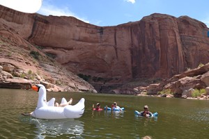 Floating in the Lake