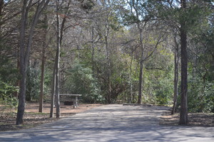 Lake Bastrop North Shore