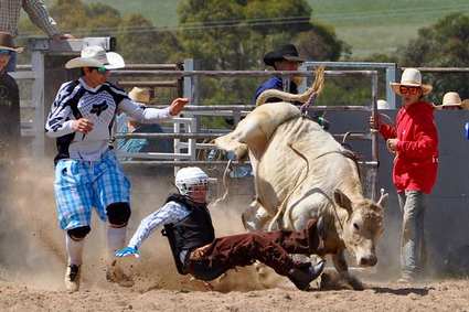 Bull Riding