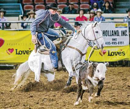 tie down roping