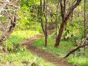 Cedar Hill State Park Biking Trail