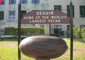 World's Largest Pecan