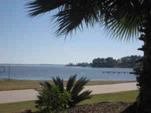 palm overlooking lake livingston