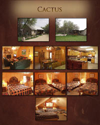 Catus cabin at Frio Country Resort