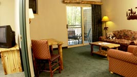 Grizzly Bear Suite at Great Wolf Lodge