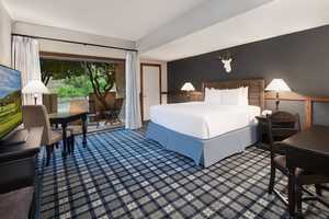 Suite at Tapatio Springs Resort