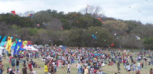 A small portion of the kite fest