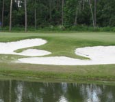 Wedgewood Golf Course hole