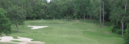 Golf at Wedgewood Golf Course in Conroe