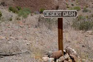 Desert Dash