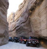 Jeeps driving through the Anza Borrego Desert