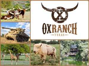 Ox Hunting Ranch